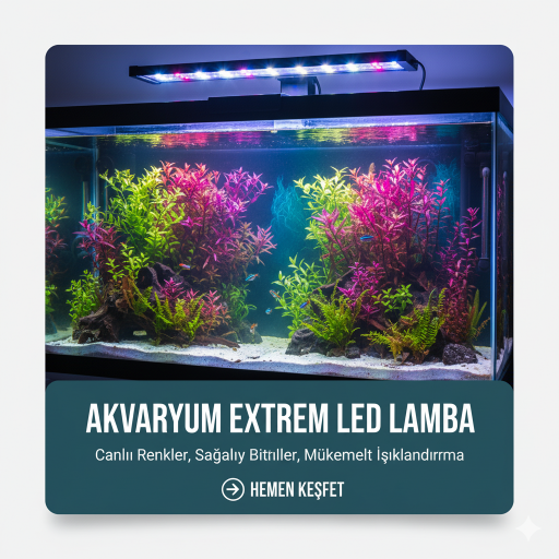AKVARYUM LED LAMBA