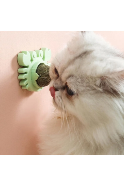 Yengeç Kedi Otu Oyun Topu