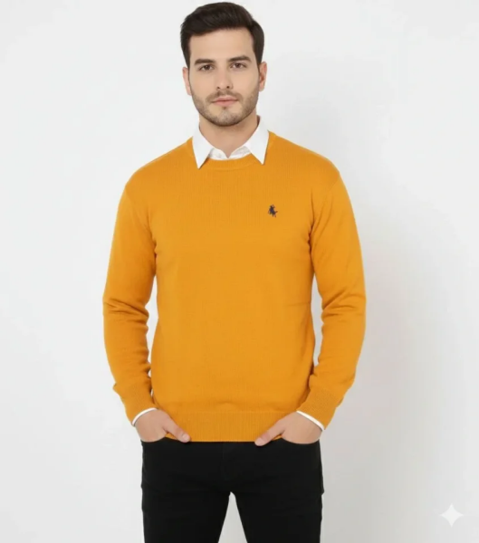 Erkek Bisiklet Yaka Nakış Işlemeli Triko Kazak Yumuşak Dokulu Pamuklu Ince Dokuma, Uzun Kollu Rahat Regular Kalıp - Turuncu