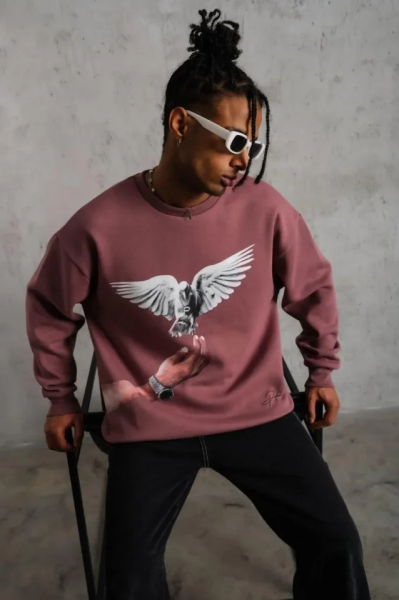 Erkek Güvercin Baskılı Sweatshirt - Gül Kurusu