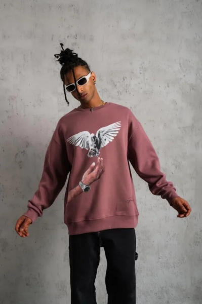 Erkek Güvercin Baskılı Sweatshirt - Gül Kurusu