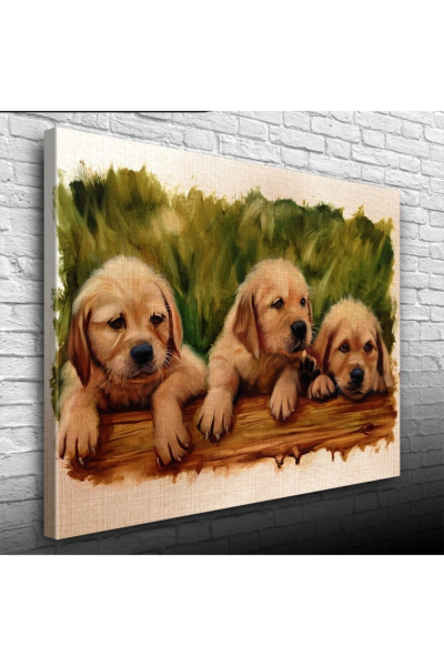 Yavru Köpekler Canvas Tablo (50x70)