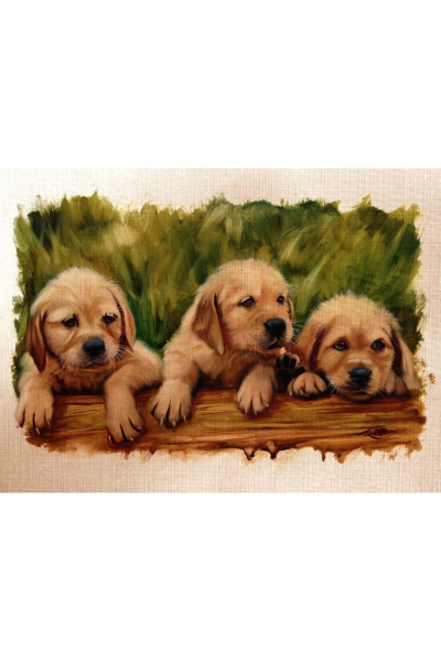 Yavru Köpekler Canvas Tablo (50x70)