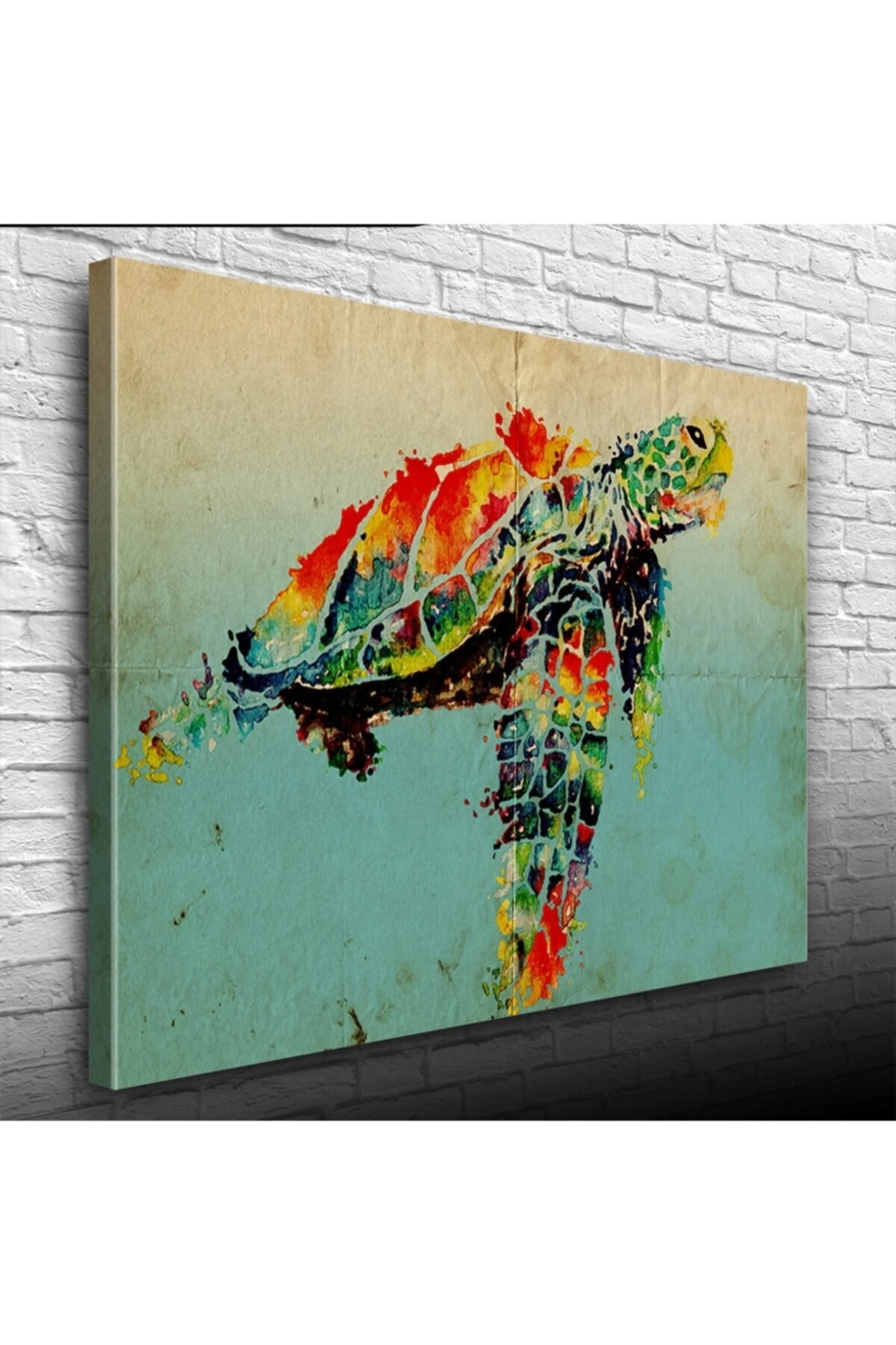 Renkli Kaplumbağa Canvas Tablo (50x70)