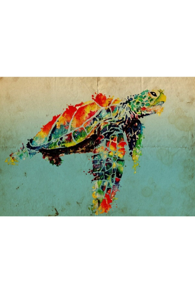 Renkli Kaplumbağa Canvas Tablo (50x70)