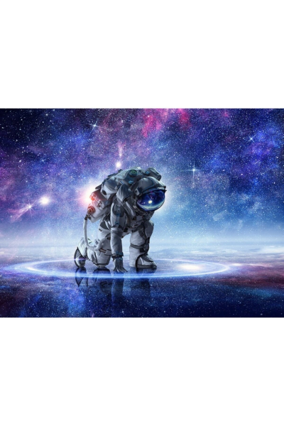 Astro Canvas Tablo (50x70)