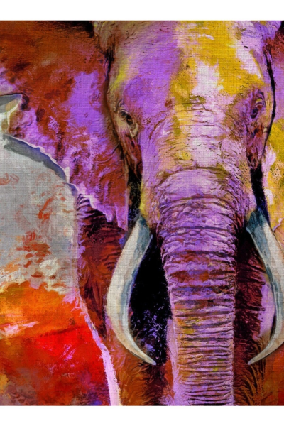 Safari Canvas Tablo (50x70)