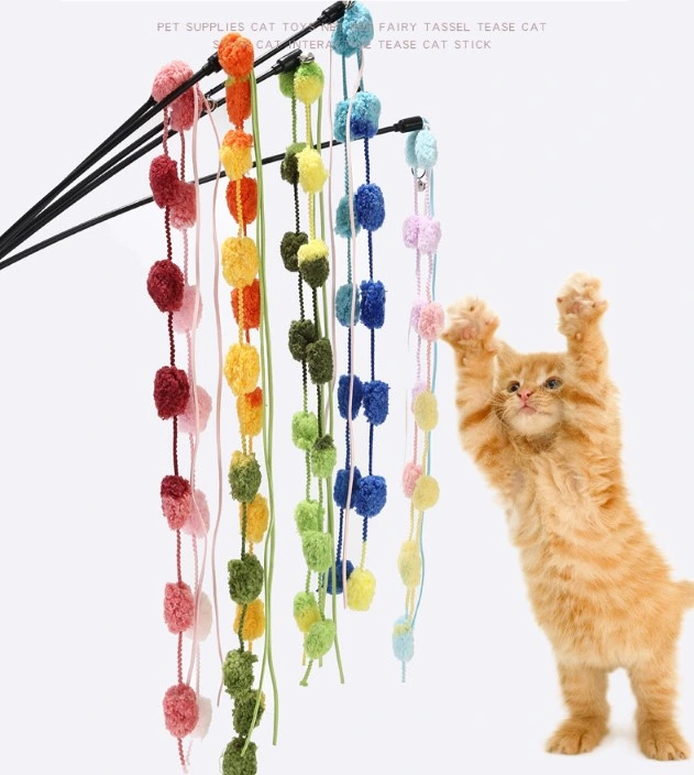 ÇINGIRAKLI KEDİ OYUN OLTASI