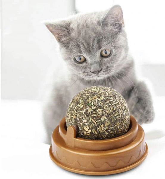 Kedi Nanesi Oyun Topu